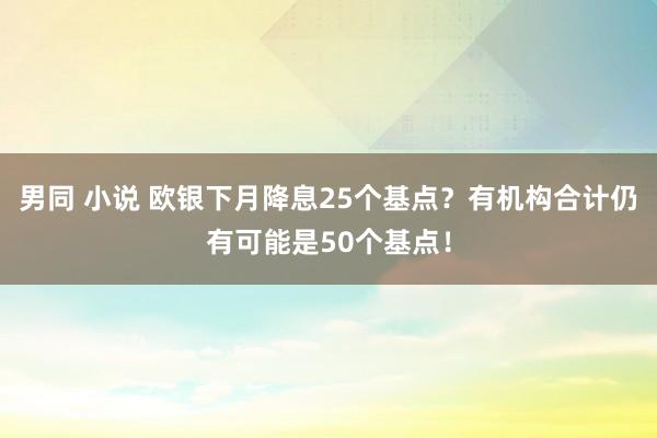 男同 小说 欧银下月降息25个基点？有机构合计仍有可能是50个基点！