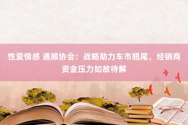 性爱情感 通顺协会：战略助力车市翘尾，经销商资金压力如故待解