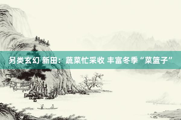 另类玄幻 新田：蔬菜忙采收 丰富冬季“菜篮子”