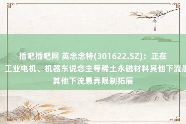 插吧插吧网 英念念特(301622.SZ)：正在积极向汽车、工业电机、机器东说念主等稀土永磁材料其他下流愚弄限制拓展