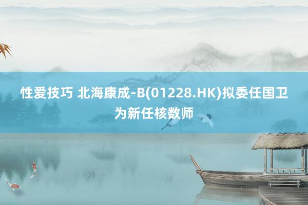 性爱技巧 北海康成-B(01228.HK)拟委任国卫为新任核数师