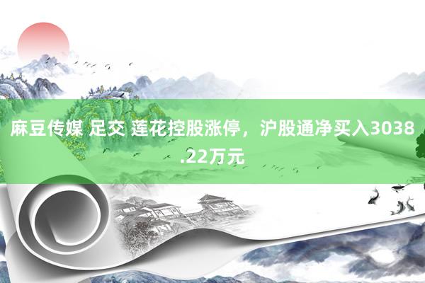 麻豆传媒 足交 莲花控股涨停，沪股通净买入3038.22万元