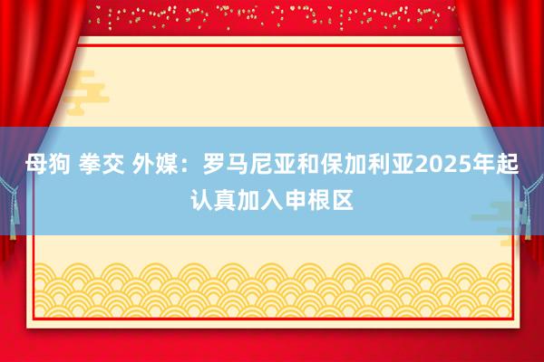 母狗 拳交 外媒：罗马尼亚和保加利亚2025年起认真加入申根区