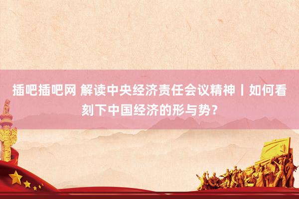 插吧插吧网 解读中央经济责任会议精神丨如何看刻下中国经济的形与势？