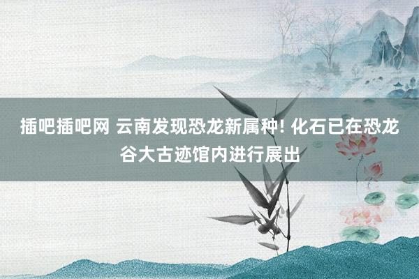 插吧插吧网 云南发现恐龙新属种! 化石已在恐龙谷大古迹馆内进行展出