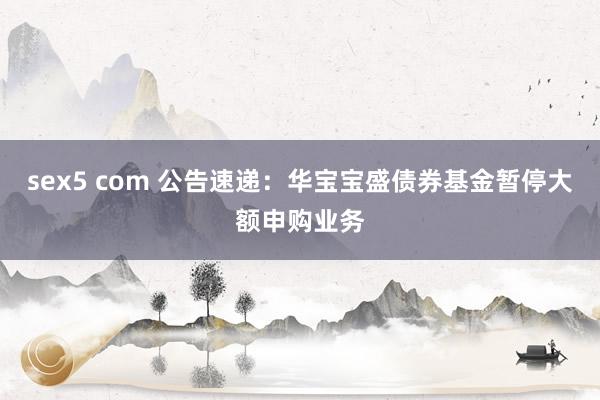 sex5 com 公告速递：华宝宝盛债券基金暂停大额申购业务