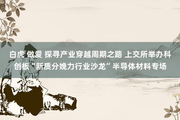 白虎 做爱 探寻产业穿越周期之路 上交所举办科创板“新质分娩力行业沙龙”半导体材料专场