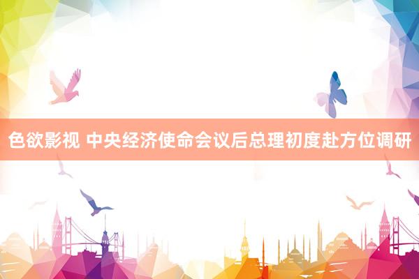 色欲影视 中央经济使命会议后总理初度赴方位调研
