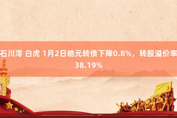 石川澪 白虎 1月2日皓元转债下降0.8%,转股溢价率38.19%