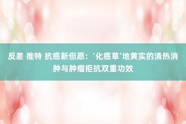 反差 推特 抗癌新但愿：‘化癌草’地黄实的清热消肿与肿瘤拒抗双重功效