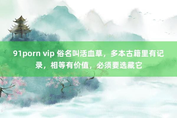 91porn vip 俗名叫活血草，多本古籍里有记录，相等有价值，必须要选藏它