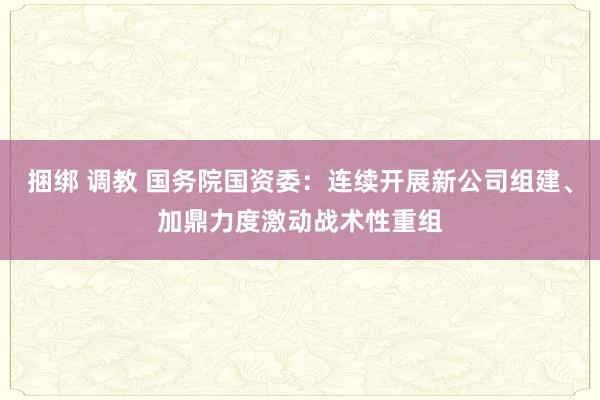 捆绑 调教 国务院国资委：连续开展新公司组建、加鼎力度激动战术性重组