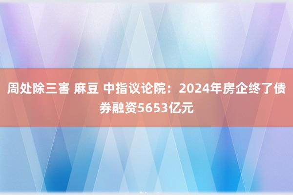 周处除三害 麻豆 中指议论院：2024年房企终了债券融资5653亿元