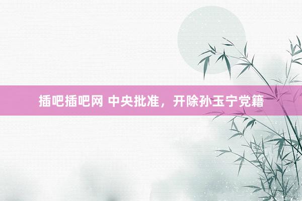 插吧插吧网 中央批准，开除孙玉宁党籍