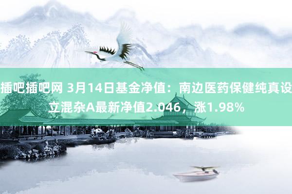 插吧插吧网 3月14日基金净值：南边医药保健纯真设立混杂A最新净值2.046，涨1.98%