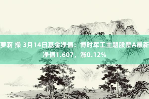 萝莉 操 3月14日基金净值：博时军工主题股票A最新净值1.607，涨0.12%