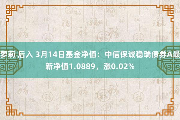 萝莉 后入 3月14日基金净值：中信保诚稳瑞债券A最新净值1.0889，涨0.02%