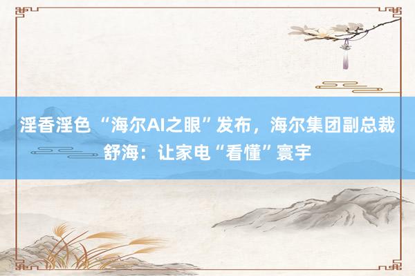 淫香淫色 “海尔AI之眼”发布，海尔集团副总裁舒海：让家电“看懂”寰宇