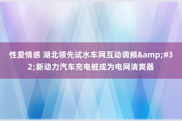 性爱情感 湖北领先试水车网互动调频&#32;新动力汽车充电桩成为电网清爽器