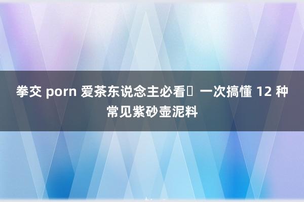 拳交 porn 爱茶东说念主必看❗一次搞懂 12 种常见紫砂壶泥料