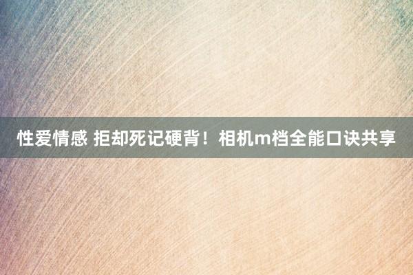 性爱情感 拒却死记硬背！相机m档全能口诀共享
