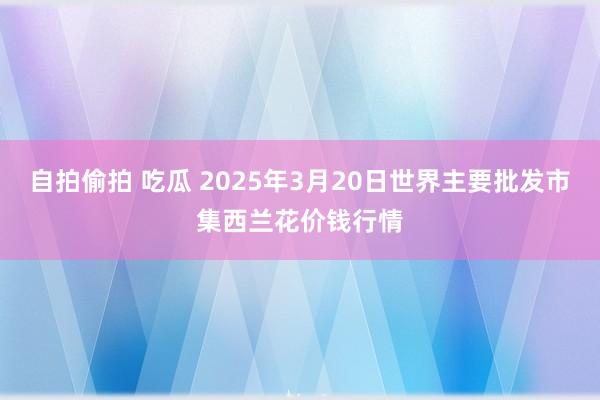 自拍偷拍 吃瓜 2025年3月20日世界主要批发市集西兰花价钱行情