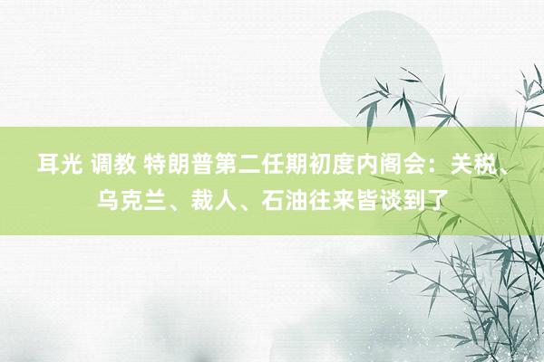 耳光 调教 特朗普第二任期初度内阁会：关税、乌克兰、裁人、石油往来皆谈到了