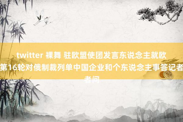 twitter 裸舞 驻欧盟使团发言东说念主就欧盟第16轮对俄制裁列单中国企业和个东说念主事答记者问