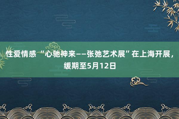 性爱情感 “心驰神来——张弛艺术展”在上海开展，缓期至5月12日