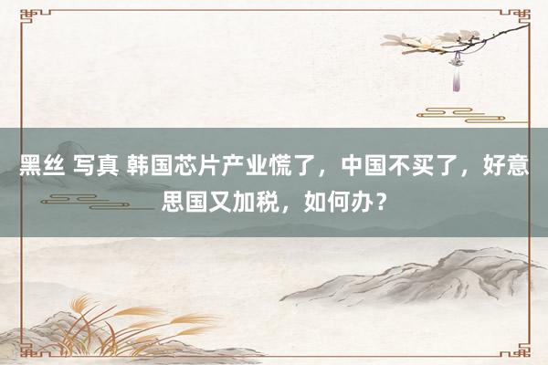 黑丝 写真 韩国芯片产业慌了，中国不买了，好意思国又加税，如何办？