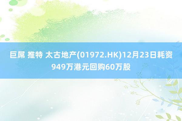 巨屌 推特 太古地产(01972.HK)12月23日耗资949万港元回购60万股