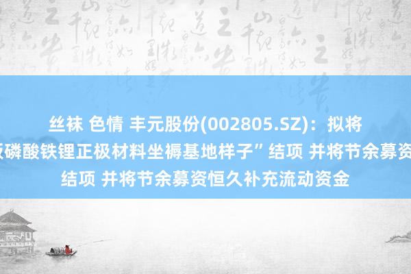 丝袜 色情 丰元股份(002805.SZ)：拟将“年产5万吨锂电板磷酸铁锂正极材料坐褥基地样子”结项 并将节余募资恒久补充流动资金