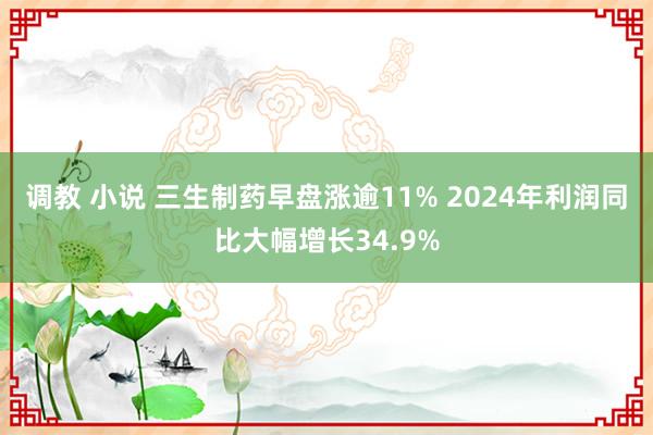 调教 小说 三生制药早盘涨逾11% 2024年利润同比大幅增长34.9%