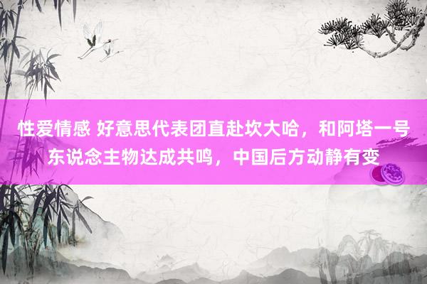 性爱情感 好意思代表团直赴坎大哈，和阿塔一号东说念主物达成共鸣，中国后方动静有变