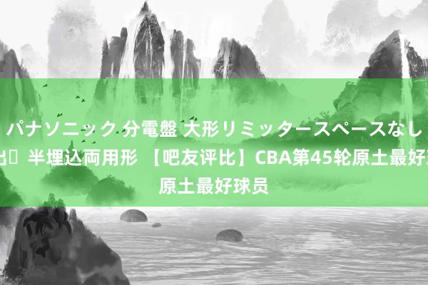 パナソニック 分電盤 大形リミッタースペースなし 露出・半埋込両用形 【吧友评比】CBA第45轮原土最好球员