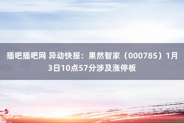 插吧插吧网 异动快报：果然智家（000785）1月3日10点57分涉及涨停板