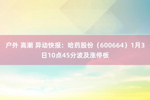 户外 高潮 异动快报：哈药股份（600664）1月3日10点45分波及涨停板