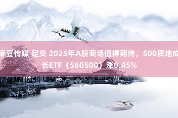 麻豆传媒 足交 2025年A股商场值得期待，500质地成长ETF（560500）涨0.45%