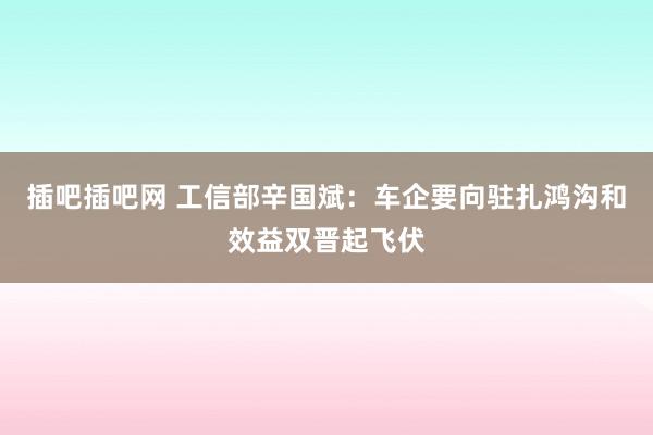 插吧插吧网 工信部辛国斌：车企要向驻扎鸿沟和效益双晋起飞伏