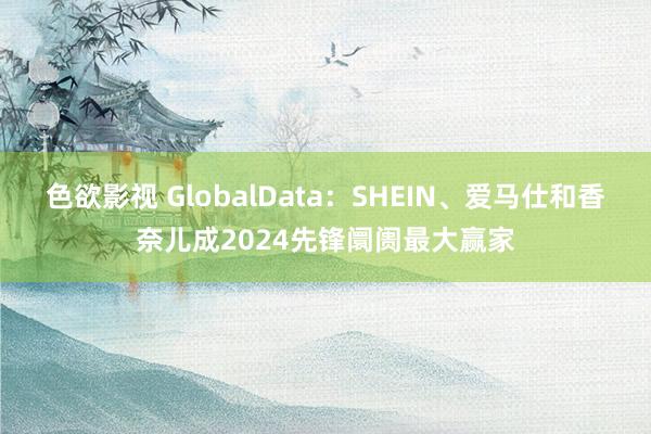 色欲影视 GlobalData：SHEIN、爱马仕和香奈儿成2024先锋阛阓最大赢家