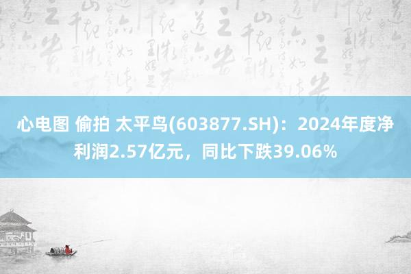 心电图 偷拍 太平鸟(603877.SH)：2024年度净利润2.57亿元，同比下跌39.06%