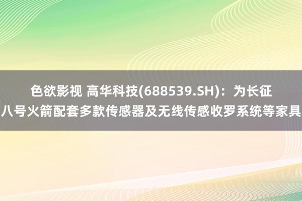 色欲影视 高华科技(688539.SH)：为长征八号火箭配套多款传感器及无线传感收罗系统等家具