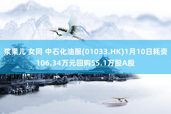 浆果儿 女同 中石化油服(01033.HK)1月10日耗资106.34万元回购55.1万股A股
