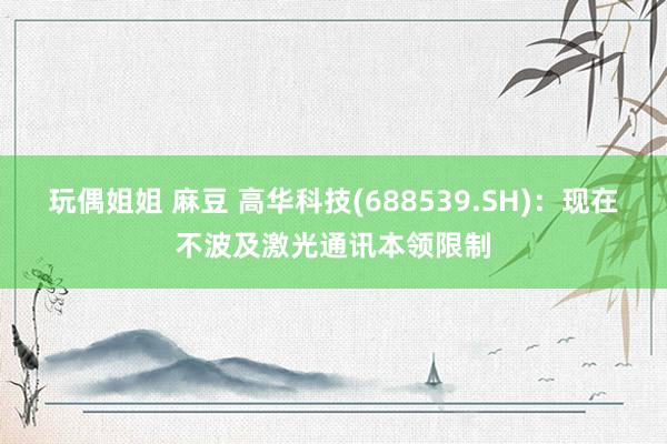 玩偶姐姐 麻豆 高华科技(688539.SH)：现在不波及激光通讯本领限制