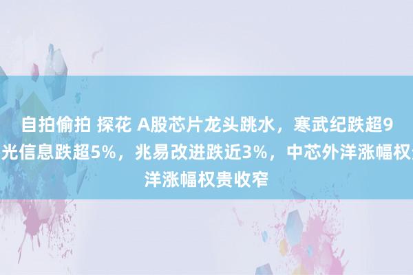 自拍偷拍 探花 A股芯片龙头跳水，寒武纪跌超9%，海光信息跌超5%，兆易改进跌近3%，中芯外洋涨幅权贵收窄
