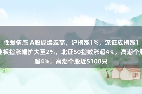 性爱情感 A股握续走高，沪指涨1%，深证成指涨1.49%，创业板指涨幅扩大至2%，北证50指数涨超4%，高潮个股近5100只