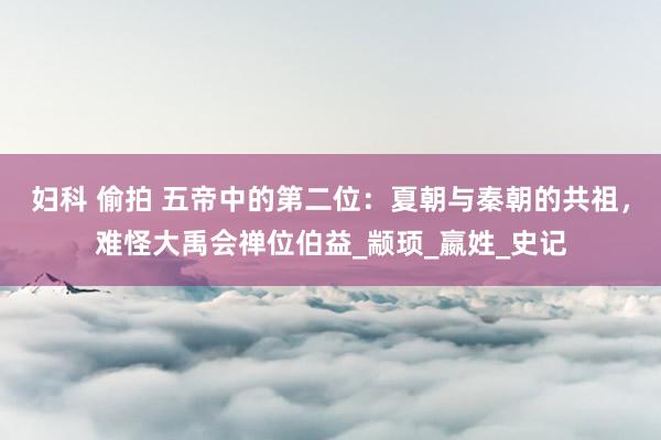 妇科 偷拍 五帝中的第二位：夏朝与秦朝的共祖，难怪大禹会禅位伯益_颛顼_嬴姓_史记