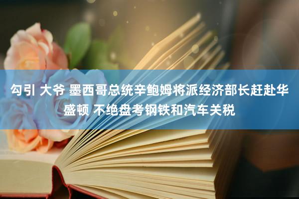 勾引 大爷 墨西哥总统辛鲍姆将派经济部长赶赴华盛顿 不绝盘考钢铁和汽车关税