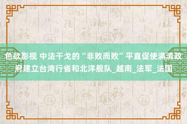色欲影视 中法干戈的“非败而败”平直促使满清政府建立台湾行省和北洋舰队_越南_法军_法国
