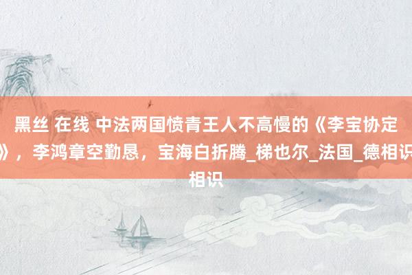 黑丝 在线 中法两国愤青王人不高慢的《李宝协定》，李鸿章空勤恳，宝海白折腾_梯也尔_法国_德相识
